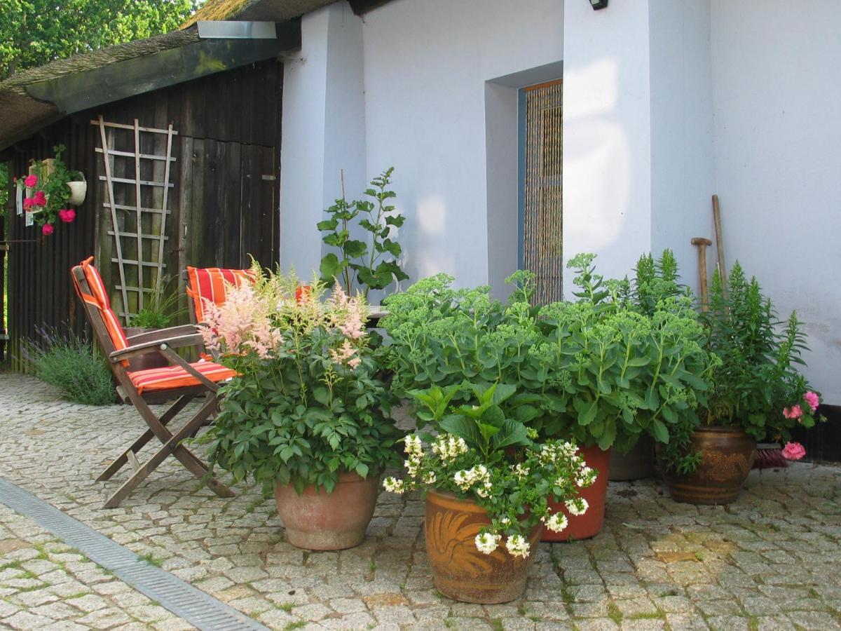 Zum Schwarzen Stiefel- Ferienwohnung Atelierhaus Rankwitz Exteriér fotografie