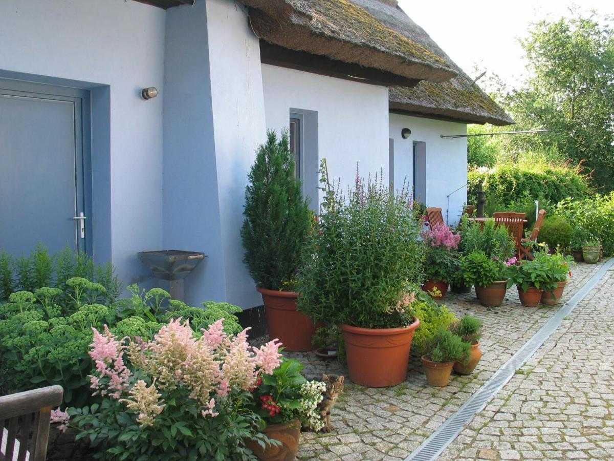 Zum Schwarzen Stiefel- Ferienwohnung Atelierhaus Rankwitz Exteriér fotografie
