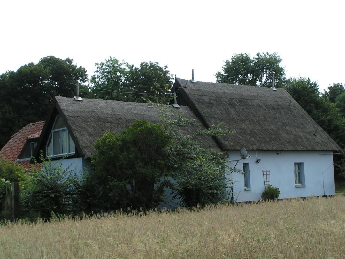 Zum Schwarzen Stiefel- Ferienwohnung Atelierhaus Rankwitz Exteriér fotografie